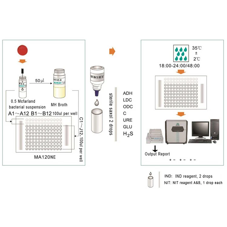 Important Clinical Microorganism Non-Fermenter Identification And AST Drug Resistance Test
