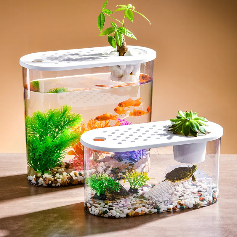 Luxury Fish Aquarium for Home, Rimless Aquarium Tank, Aquarium Plants, and Fish Tank Accessories