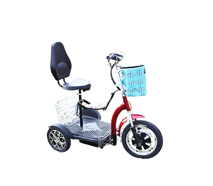 Essence Delivery Trike 5 Wheel Cargo India Bicycle Water Bike Tricycle