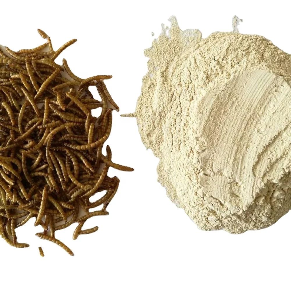 Protein powder  feed additives  mealworm powder food additive insect protein insect powder insect flour
