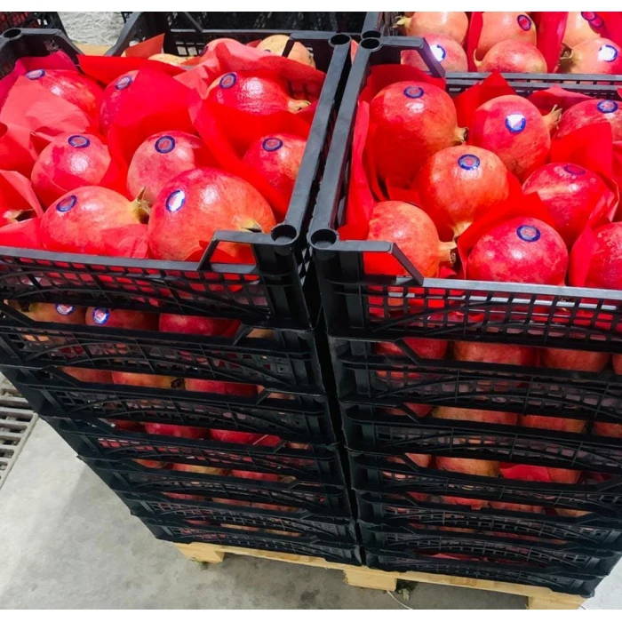 2022 Best-selling And High Quality Wonderful Delicious And Nutritious Fresh Red Pome grante From Egypt For Sale