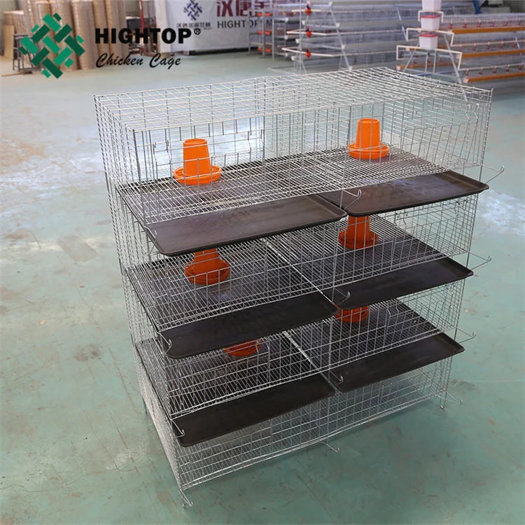 Uganda Chicking Farm Coop A Type H Type 10000 Bird Layer Baby Chicks Pullet Chicken Brooder Cage For 1 Day Old Chicks