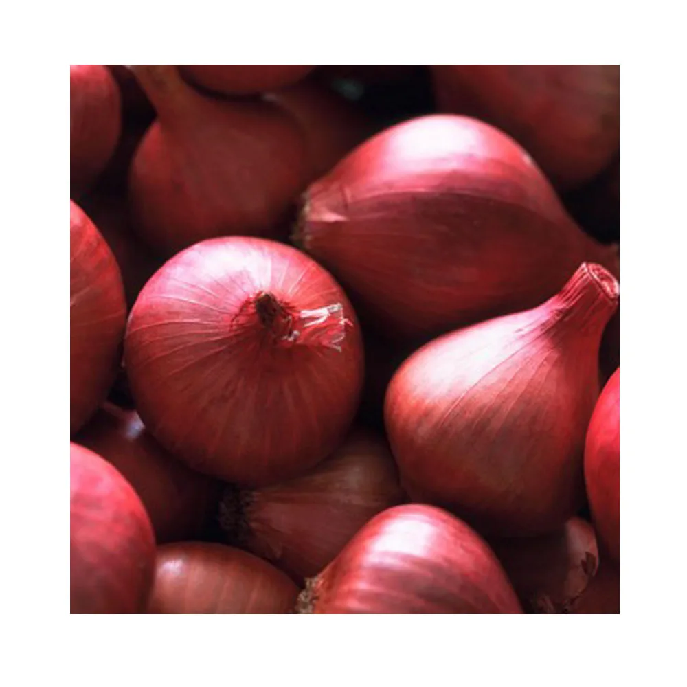 
 10 мм 10 мм органические Замороженные красные рубленые кубики лук  