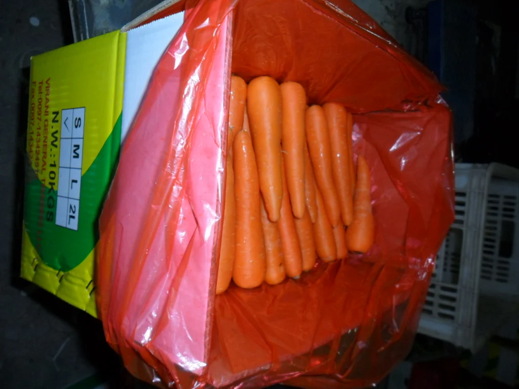 Fresh Carrot Cheap price Shan dong new crop Fresh Carrot Red carrot 2022 new