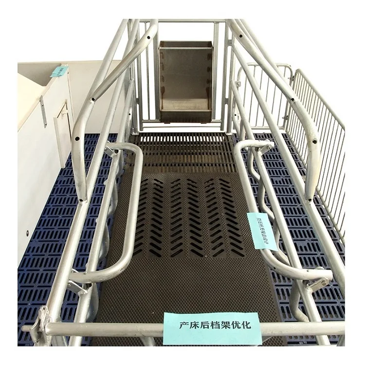 China Best Choice Sow Farrowing Crates Gestation Crates Pig Farm Equipment Pens Farrow Crate