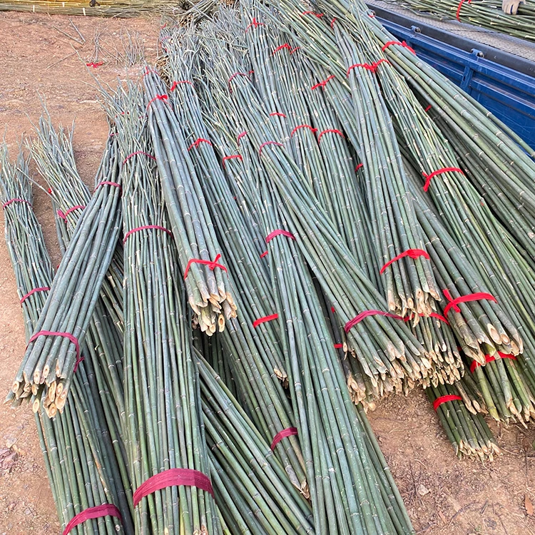 China Factory Direct Sales Of Strong Bamboo Fishing Rods 3M Long Bamboo Pole For Making Fence