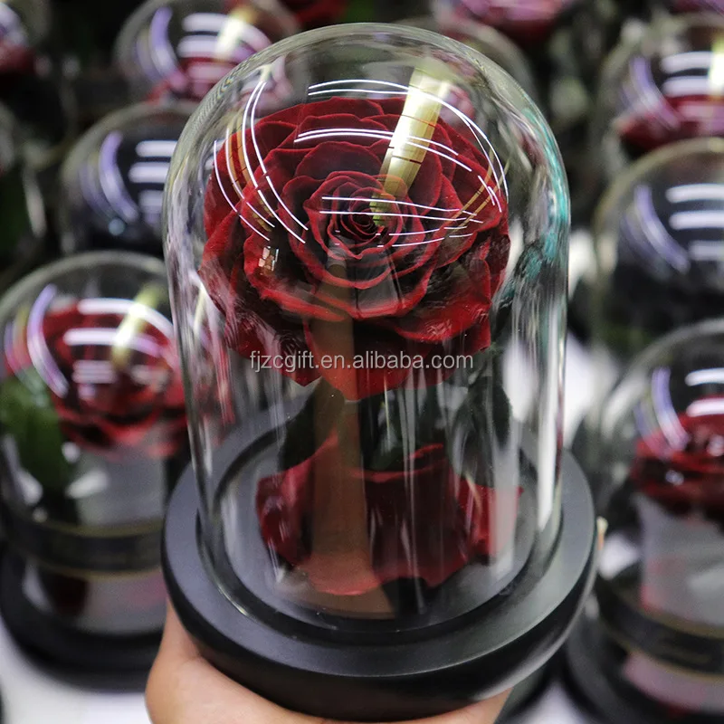 High Quality Eternal Rose Led Flowers Morthers Day Everlasting Preserved Flower Forever Roses In Glass Dome