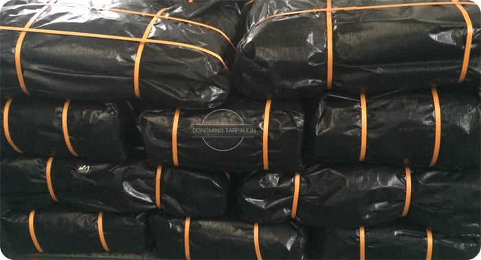 DM black tarp (24).jpg