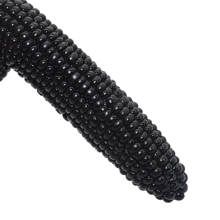 Wholesale Fruit Corn Shape Dildo Long And Huge Dildo  Realistic Penis For Men Women Silicone artificial dick