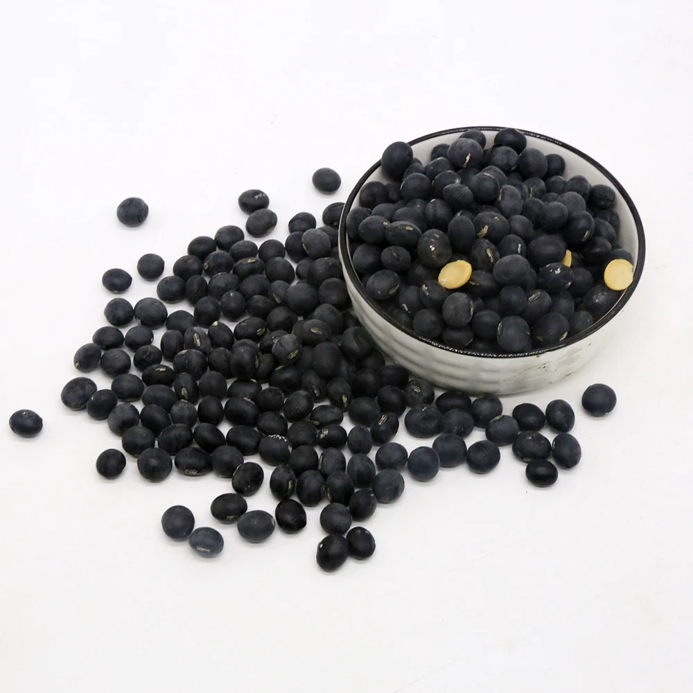 High quality soy bean dry beans black kidney bean