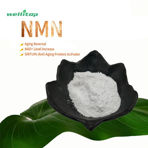 
Metabolism booster anti-aging beta nicotinamide mononucleotide oem manufacturer 99% HLPC pure nmn bulk powder 