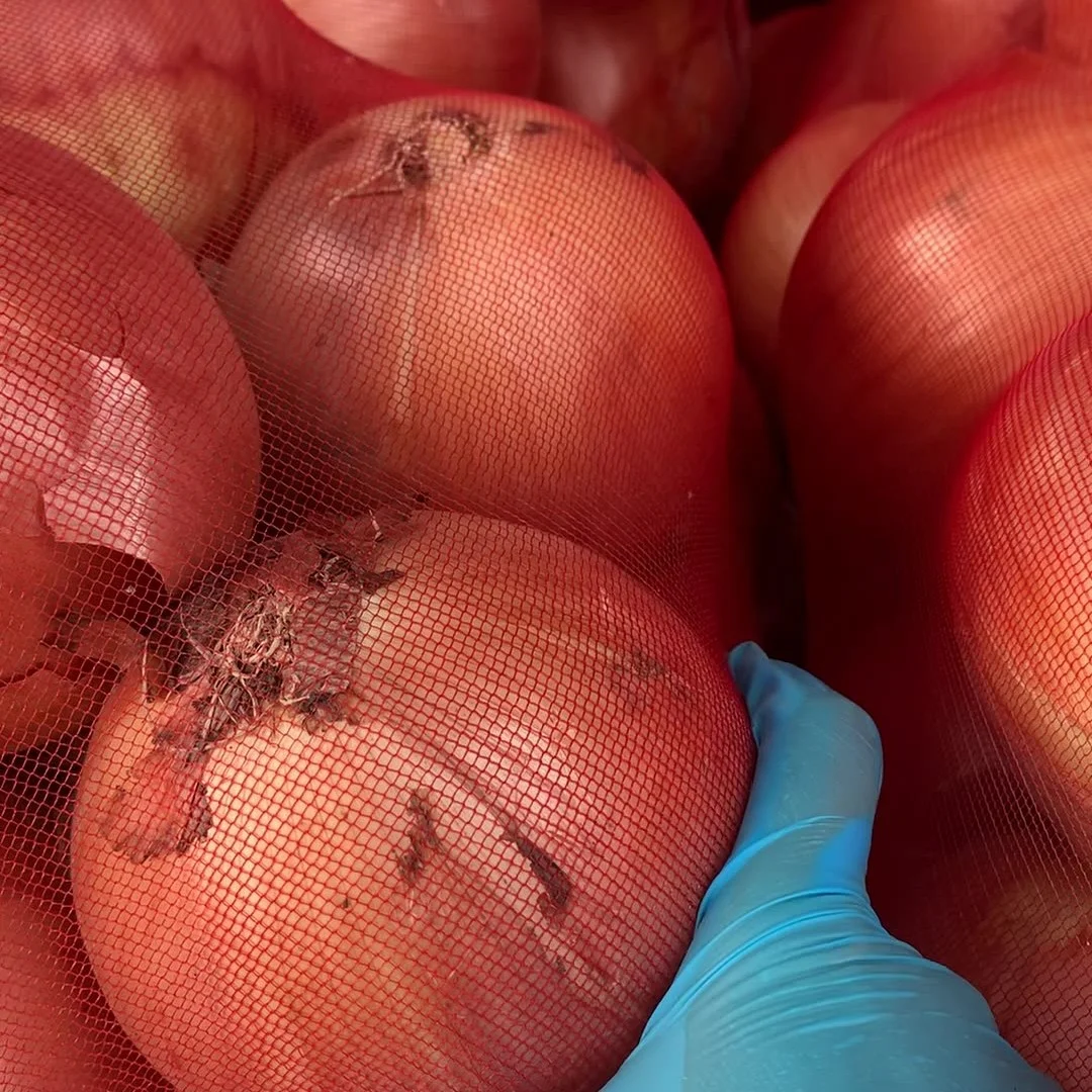 Chinese Fresh Yellow Onion Cheap Price Red Onions Export to Korea