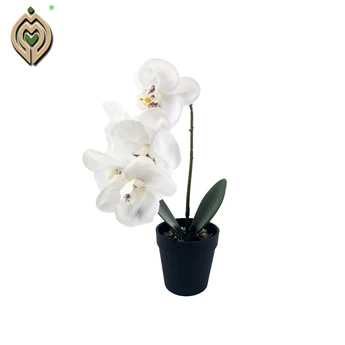 Chinese manufacturersArtificial Latex with Pot Wholesale Butterfly Phalaenopsi Orchid Flower greenery