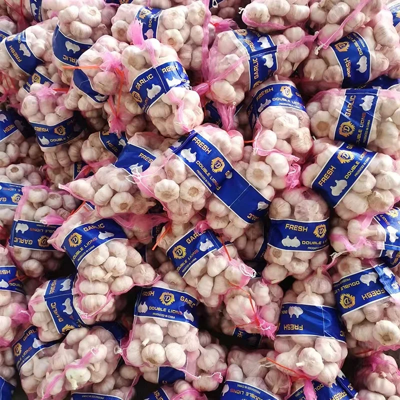 Chinese Fresh Garlic  Exporter High Quality Garlic Supplier in China  Shangdong White Garlic 6 cm