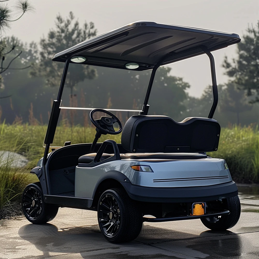 golf carts pakistan vintage golf cart golf carts 2 passengers