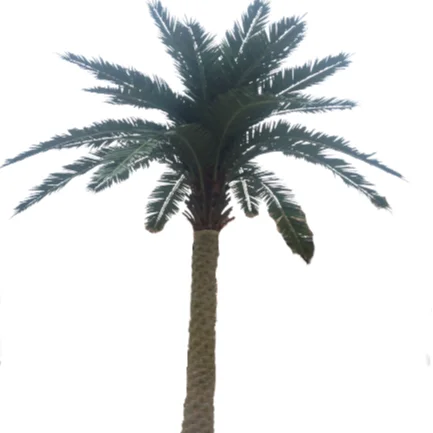 Wholesale Artificial Trees Artificial Date Palm Tree Outdoor Fiberglass Trunk