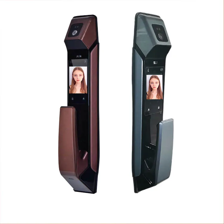 Smart Electronic Digital Password Locks without Handle Face Recognition Fingerprint Door Lock 2 Years 1 Sets Zinc Alloy EF06 ELA