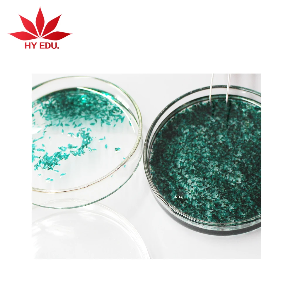 Botany Microscope Prepared Glass Slide  Microscope Slides Tilia Stem C.s