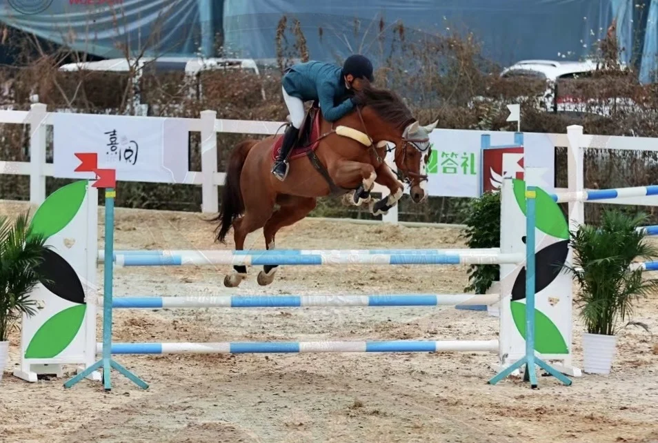 Reeds 2024 new show jumps equestrian competition exclusive for Longines competition