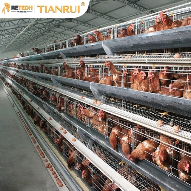 Прямая продажа с фабрики в Китае 4 слоя типа птицефабрика куриных батарей клетки