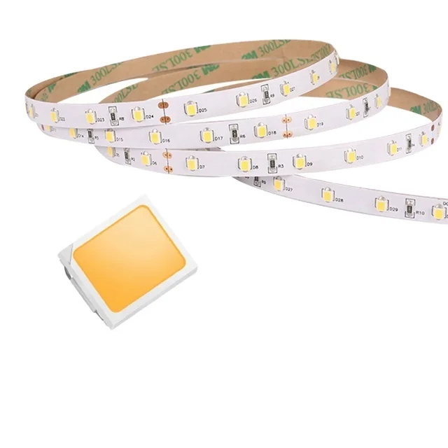 12V Led Lights SMD2835 60 Leds 8mm Pcb Lighting Strip Full Kit RA90 With Power Supply For Indoor Outdoor Decoration