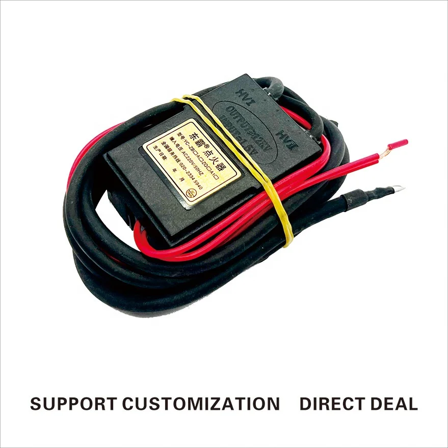 YC-A Small Box Dongba Igniter No Delay 220V Commercial Pulse Igniter Mechanical Equipment Igniter