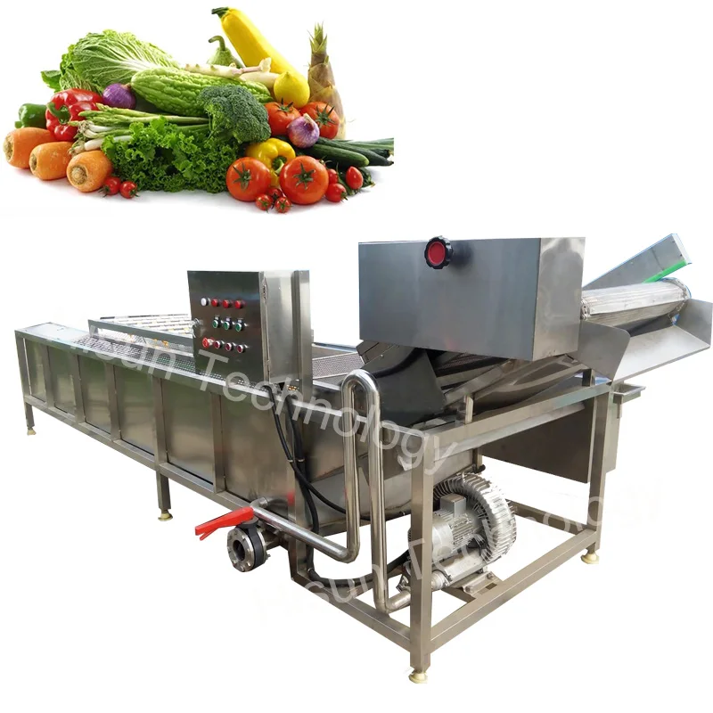 Air Bubble Fruit Vegetable Washer Lettuce Washing Equipment Kelp Spinach Cleaning Machine fruit and vegetable washing machine