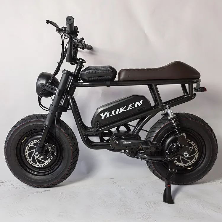48v 500w/750w/1000w super bike hub motor 16*4.0 inch fat tire two seat electric bike Moto Electrica 73 ebike