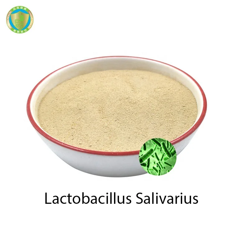 Factory Price Raw Materials HACCP ISO22000 probiotics powder OEM Lactobacillus Salivarius 10Bcfu