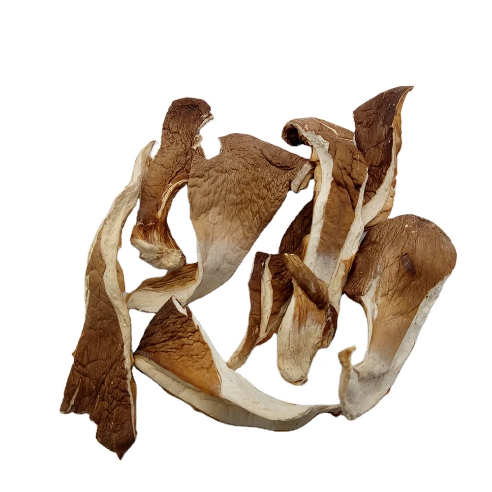 High quality dried oyster mushroom shiitake mushroom slice from gutailang