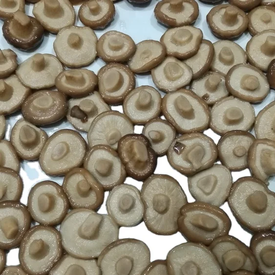 Canned Shiitake