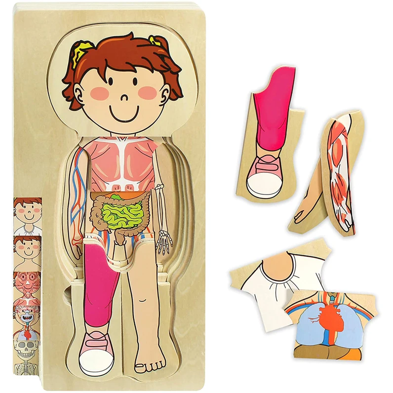 Wooden My Body 3D Jigsaw Puzzle Educational Montessori Toys for Toddlers & Kids - 29 Piece Girls Anatomy Play Set Puzzle Gift