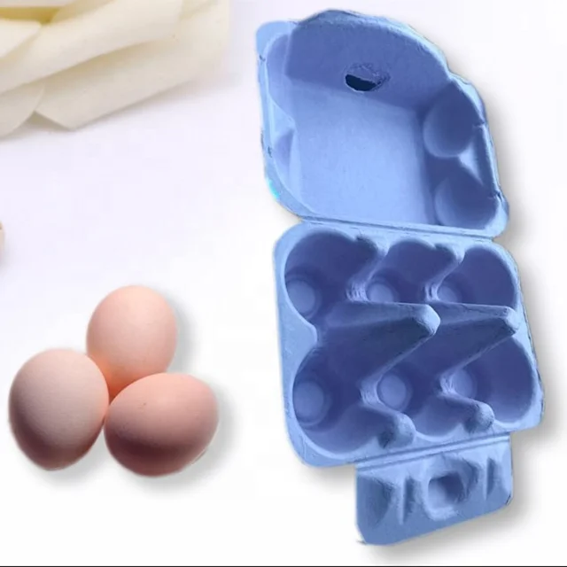 Molded Pulp customized egg carton with lid cardboard egg trays with colorful
