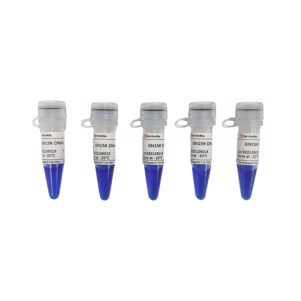  Professional Labware Supplier Agarose Gel Electrophoresis GN15K DNA