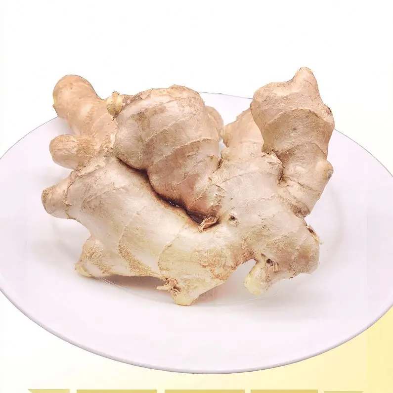 Fresh ginger China/ginger supplier