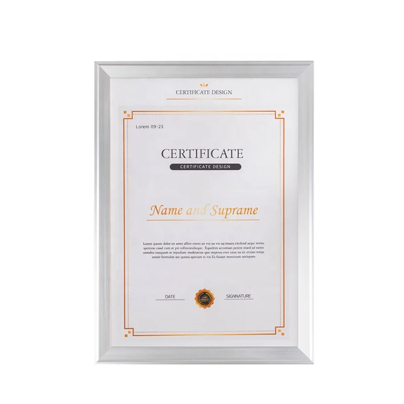 
Custom Size Certificate Metal Frame A4 A3 Aluminum Alloy Hanging Photo Frame 