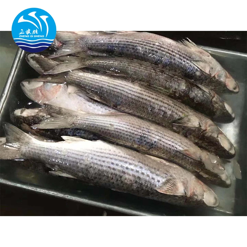 Китайские морепродукты замороженные овощи 6-7 шт. в коробке серый муллет