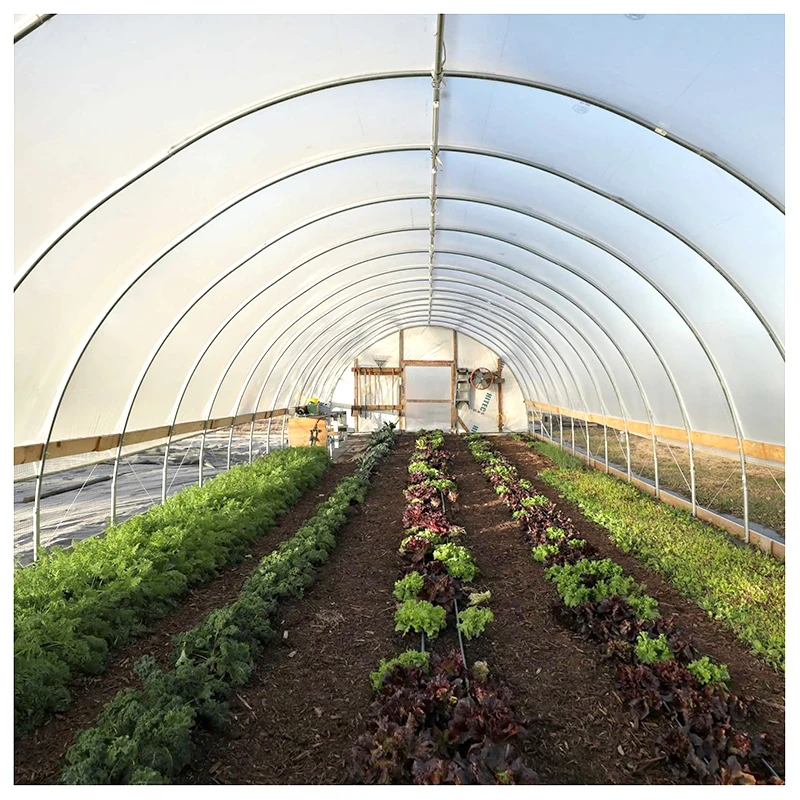 20 футов Солнечная теплица с УФ-стойким полиэтиленовым материалом металлический каркас для растений томатной клубники в сельскохозяйственных