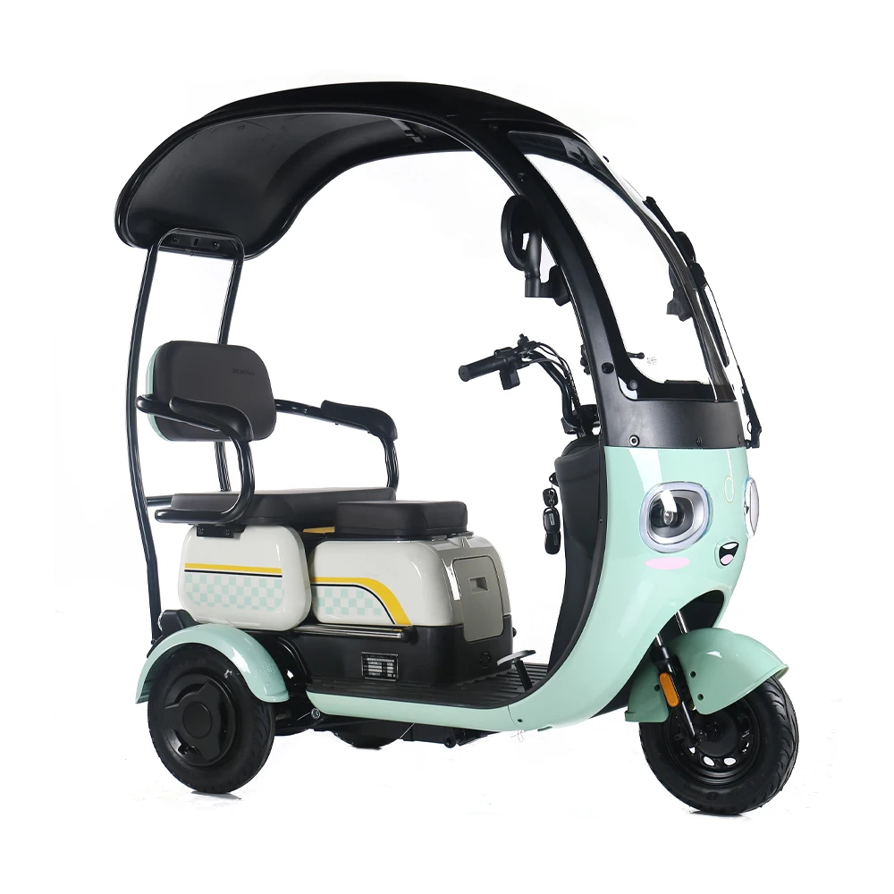 2024 New Electric Pedicab Tricycle Electric Bike 500W Long Range 3 Wheel Electric Scooter For Sale