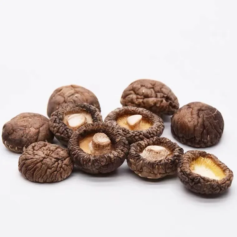 New Dried Shiitake Mushrooms Dried mushrooms Dry goods wholesale Dry goods specialty