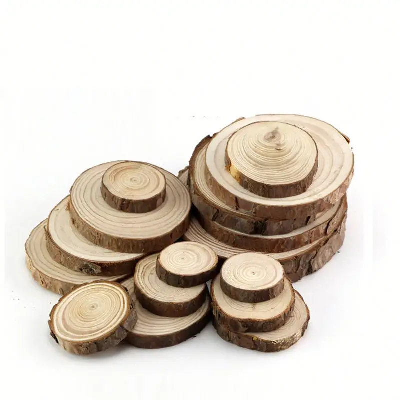Round Pieces Small Crafts Birch Wood Slices Rustic Natural Plaque Home Decoration Accessories Modern Carved Folk Art Engraving
