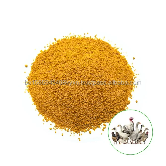 100% Organic Dried Corn Gluten Meal High Protein Animal Feed for Fish Dog Pig Horse Food Packed in Bag