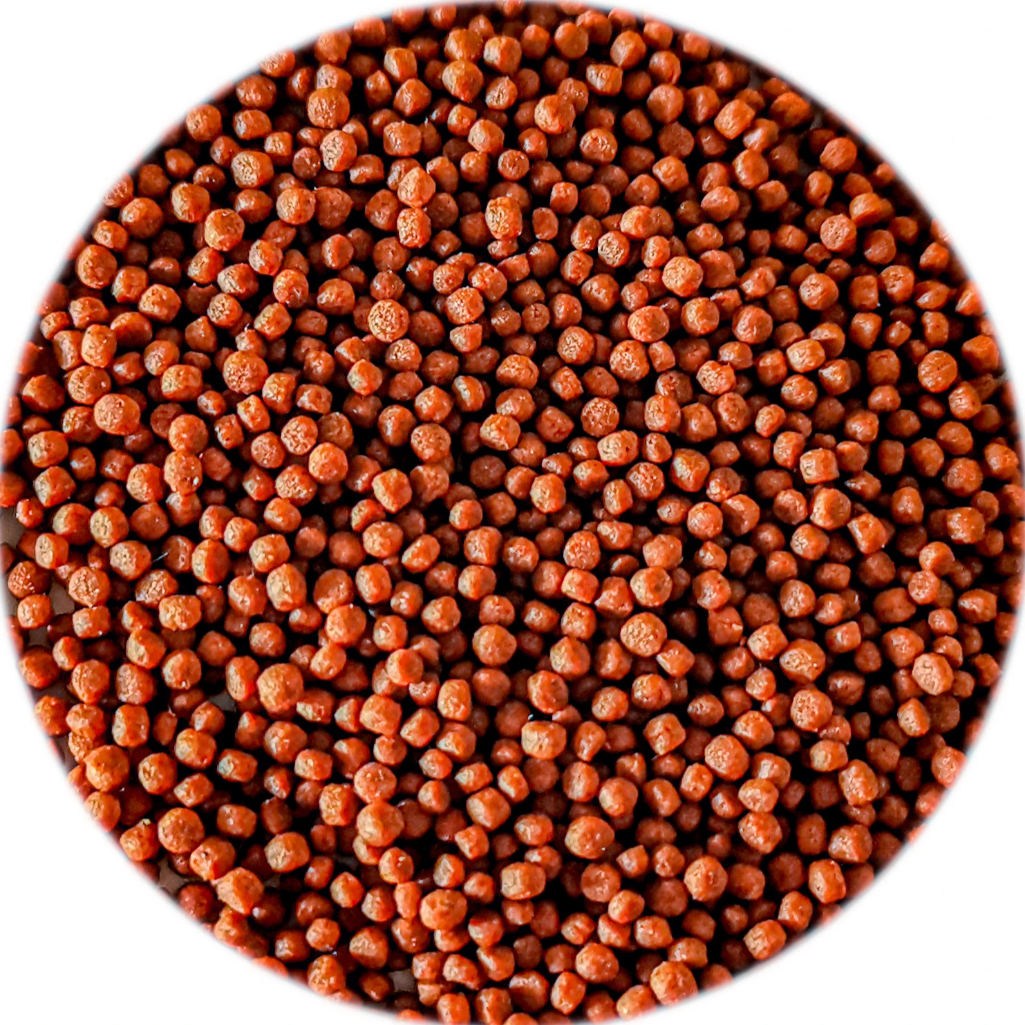 AquaV supports customized high-quality extra red pallets with high nutrition and protein for