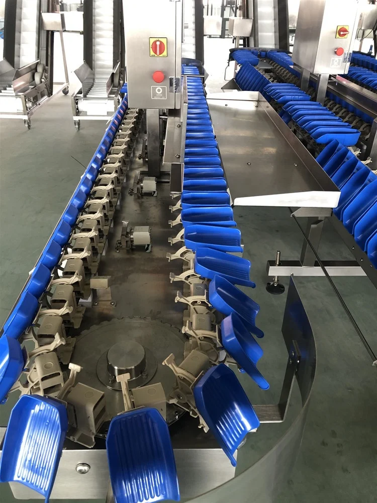 Chicken Paws Belt Type  Sorting Chicken Paws Grading Machine