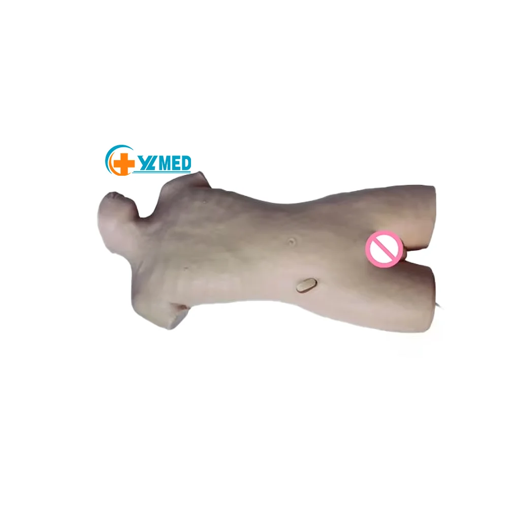 Medical Science WHOLE BODY ABDOMINAL PUNCTURE MODEL Used for Doctors and Nurses to Demonstrate Bone Marrow Puncture