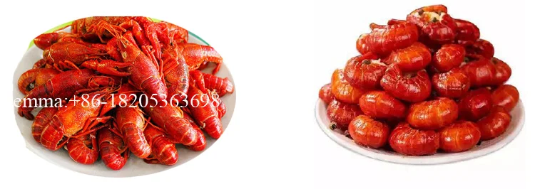 TCA Continuous Frying Machine flexible fried High efficiency frying machine with factory price for potato onion frying