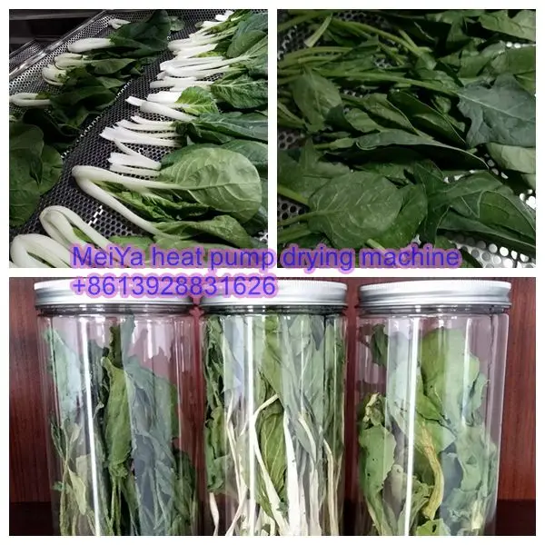 Low price chilli pepper drying machine for dried vegetable food processing equipment