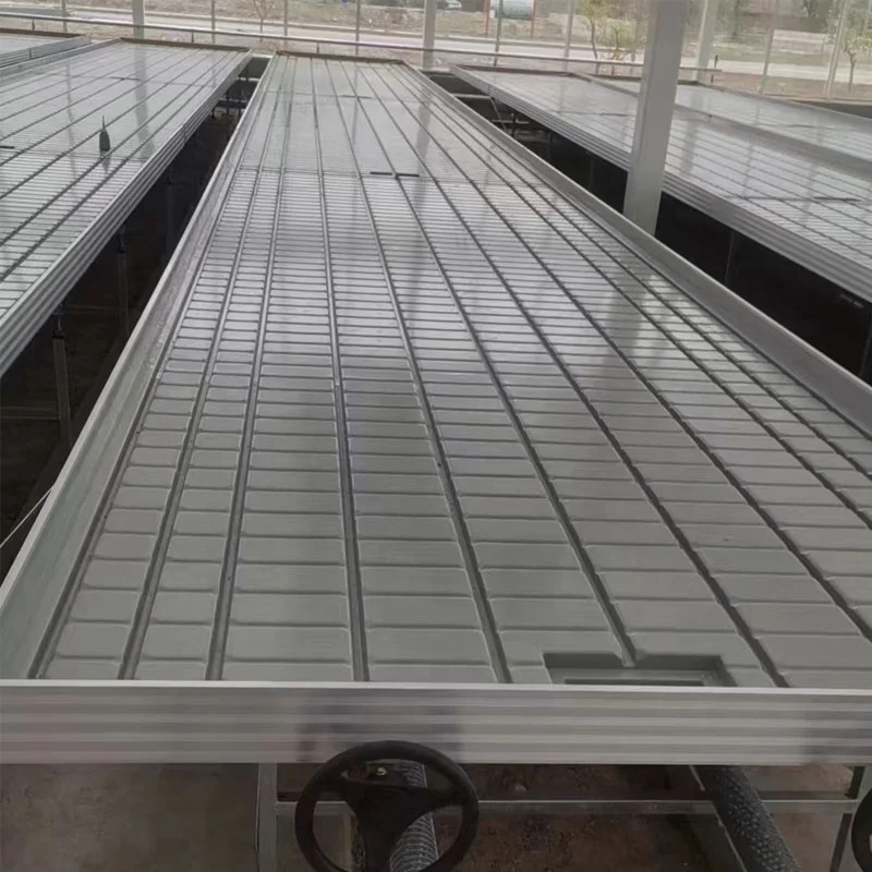 Rolling Irrigation Single Line ABS Plastic Hydroponic Ebb and Flow Tray Custom Mold Agricultural Greenhouse Bench