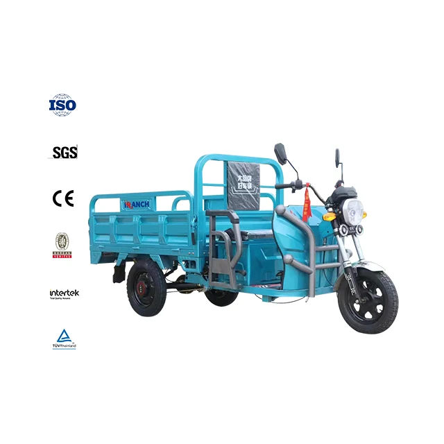Good Quality New Arrivals Mens Tricycle 150kg Electric Bicycle Tricycles With Back Brace