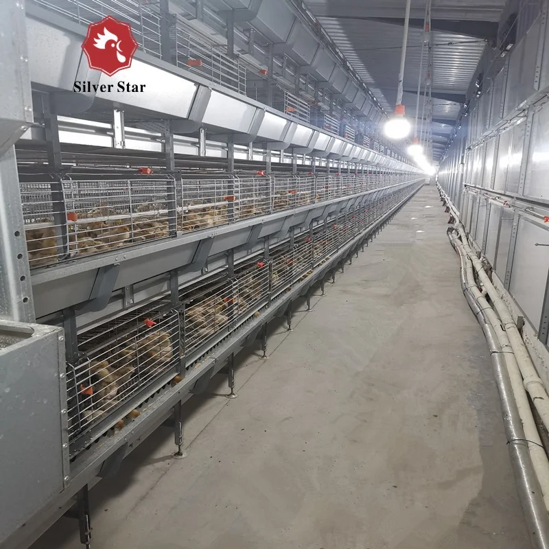 Full automatic chicken broilers farm battery cage equipment with plastic floor slat